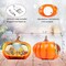 Citrus; Lighted Pumpkin Snow Globe Fall Decor, Swirling Glitter Thanksgiving Pumpkin Lantern Tabletop Decoration with Turkey Corn Maple Wheat Scarecrow, USB or Battery Powered, 7.4 Inch; Category:Pumpkin Decor; Image:3